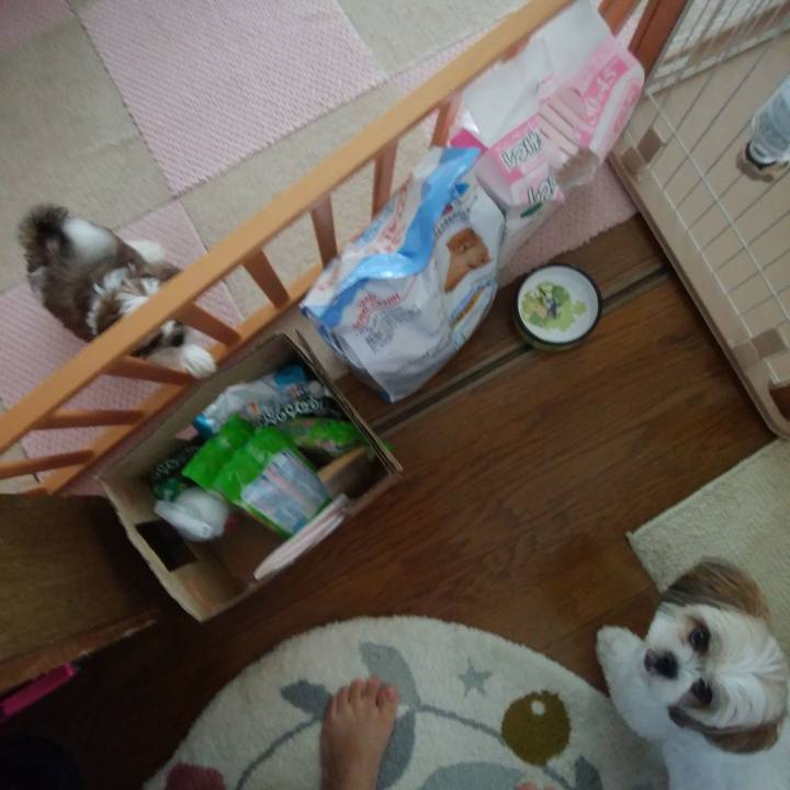 810e780f ee41 44a6 af15 7984bf331da1 1531958308955