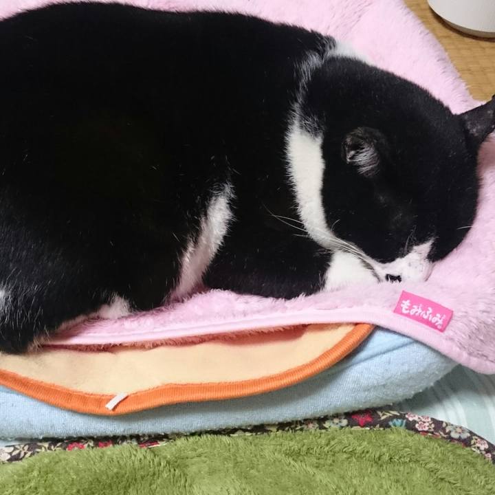 810e9367 d880 491e 9b60 c9205d95cdd3 1507993611622