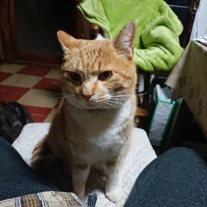 810e9a77 705a 44ae a227 3ea91971104d 1582142180145