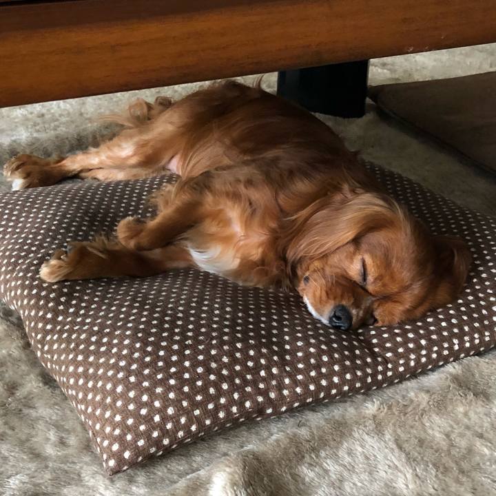 810ea2c2 05ce 45e0 83ed bfb8740d38c8 1527401571669