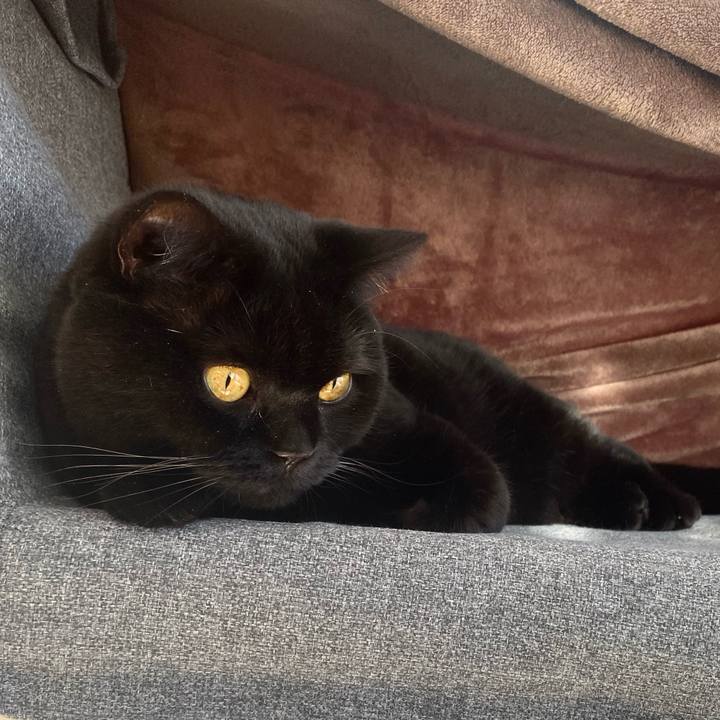 810ed31d 19fc 40d3 9ad7 95a00aeecc9e 1763098752263