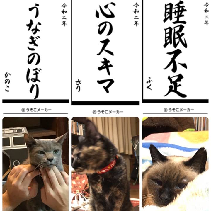 810edaec b546 47b9 943b b6be3145c09a 1577940342946