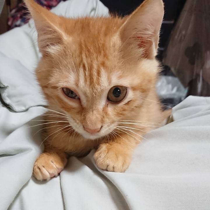 810ef046 39d8 44e8 a54e c3e9e1064256 1630832710009