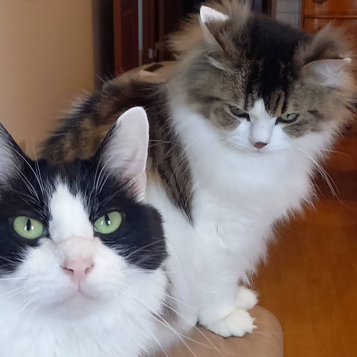 810f12a5 4056 4693 9bf2 4ff1cecc985d 1647645269167