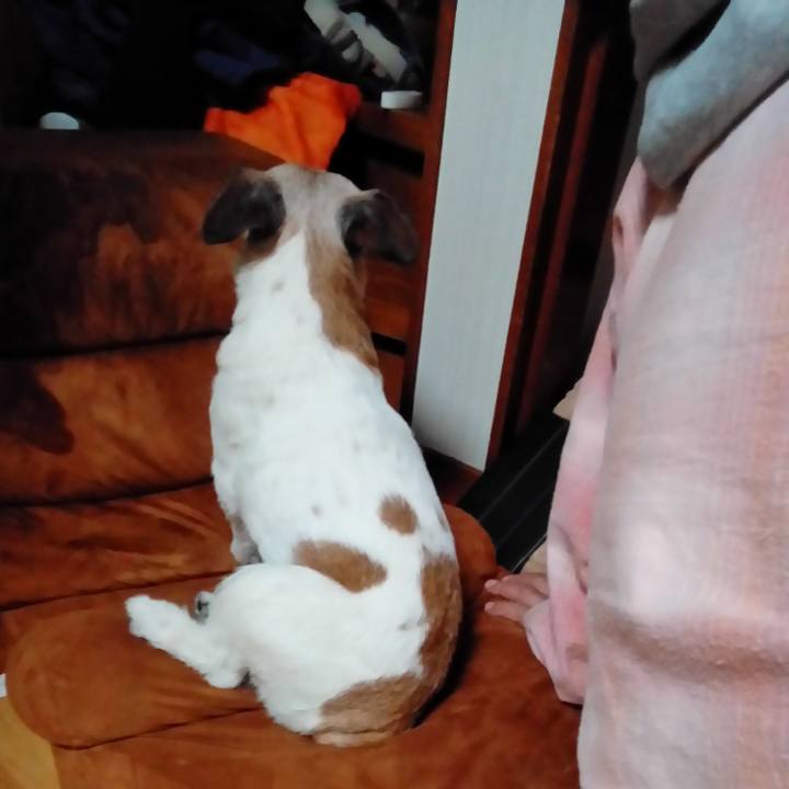 810f13b6 7291 4f57 9db3 2bb5e515f25b 1584535545646