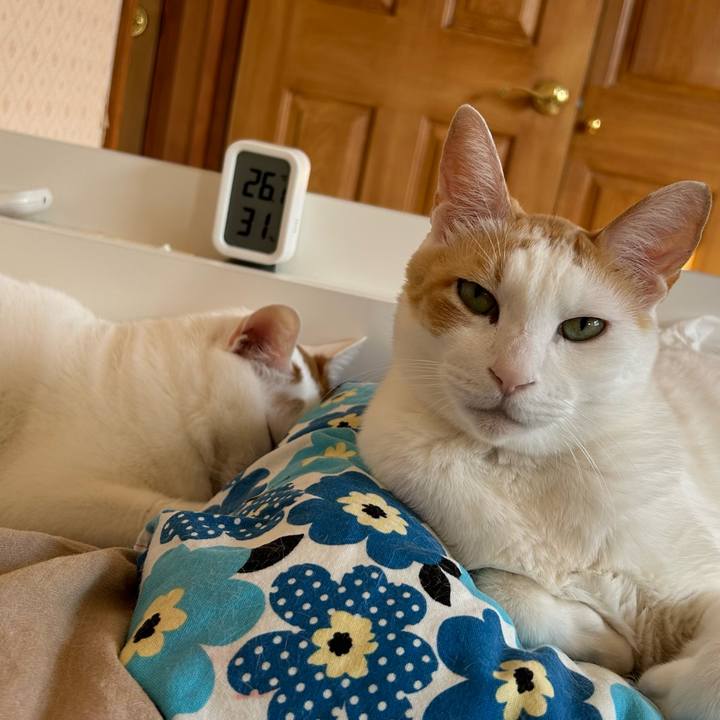 810f3ee7 3e3e 44bd b44a ff0ce2e7ec8d 1676161069586