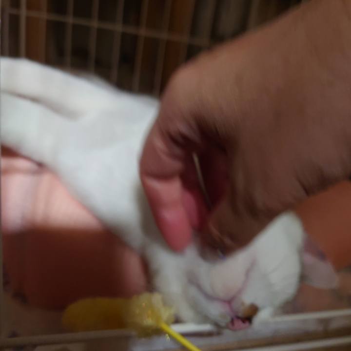 810f406b f2c1 4266 b846 0568b45b3ba5 1691078722937