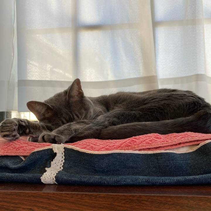 810f46bf fb19 40c3 b70e f8ea4a19d38f 1603593777377