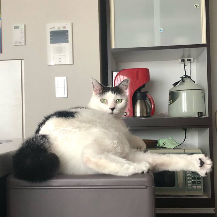 810f7f41 ff20 4ac7 aa6e a3d476c6634e 1593329875148