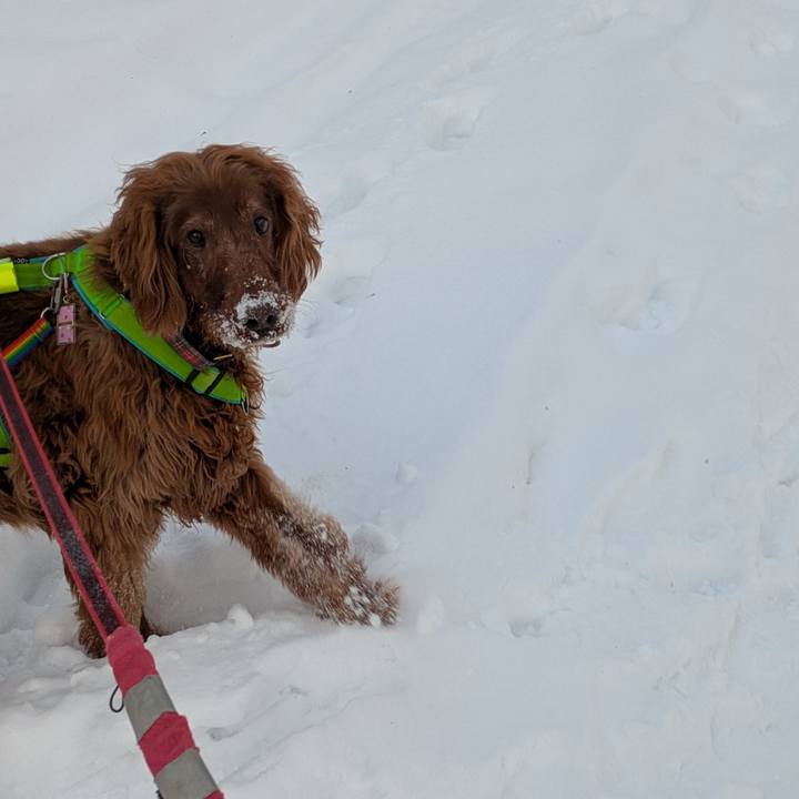 810f80ab 9b24 417a b211 bf3d7d0c63a9 1769381967870