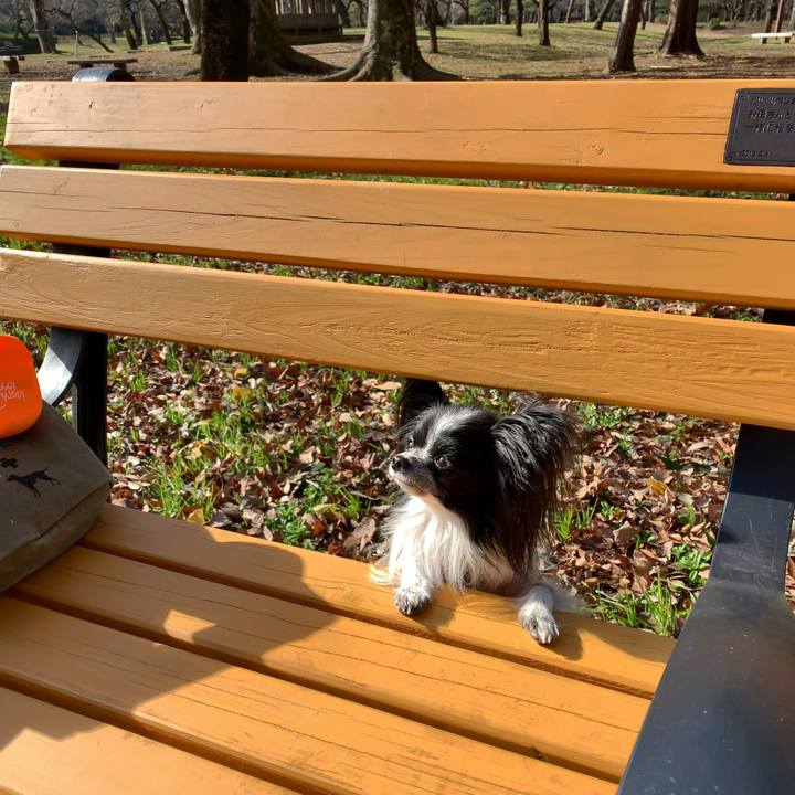 810f9e08 02b8 4f25 b7d7 9ad1cdd9c077 1545795234724