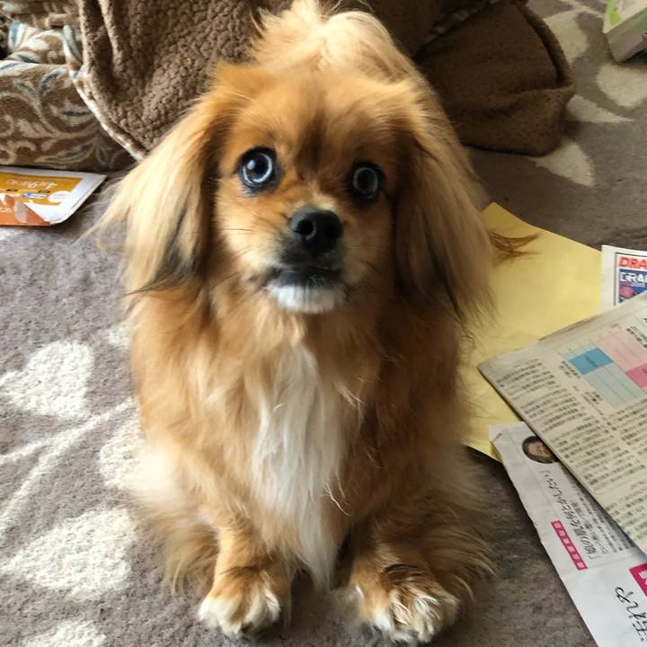 810faac0 c749 4b6e 9509 3d2eaa4378ca 1555194607565