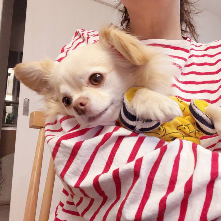 810fc7c6 1949 4cea 884e f8355d86dca9 1743137850541