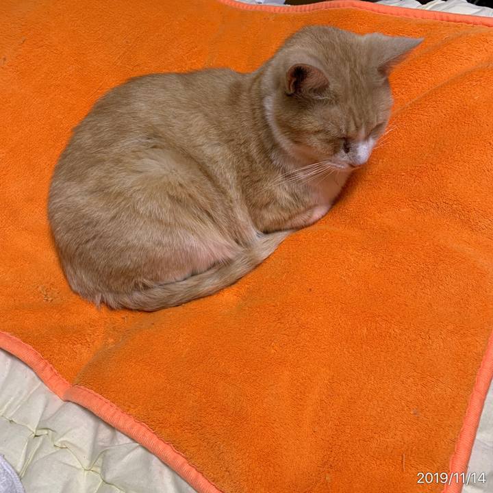 81101bde 29f5 4788 abfe 70fd78737fba 1573742945411