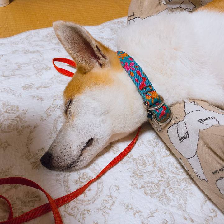 81104b69 400b 4c0b a805 25a19496185c 1593442436810