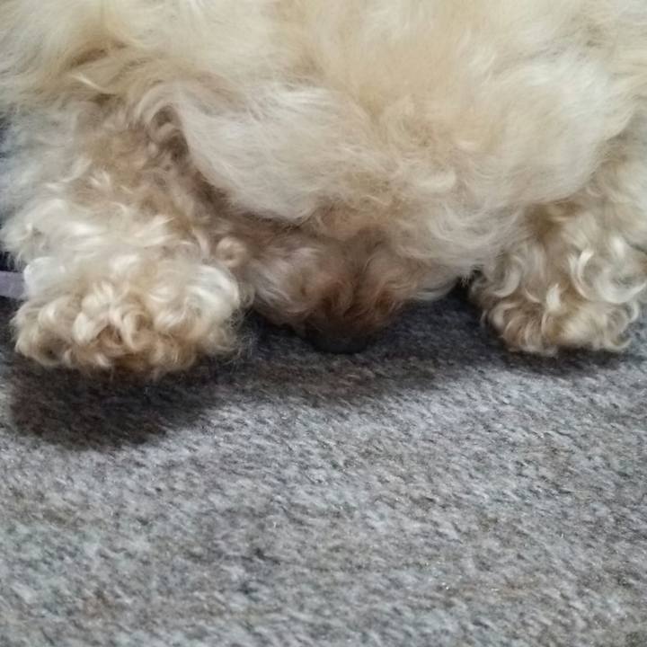 81105eb4 05c0 40e3 88fc 79f9dfef81b9 1531201562137