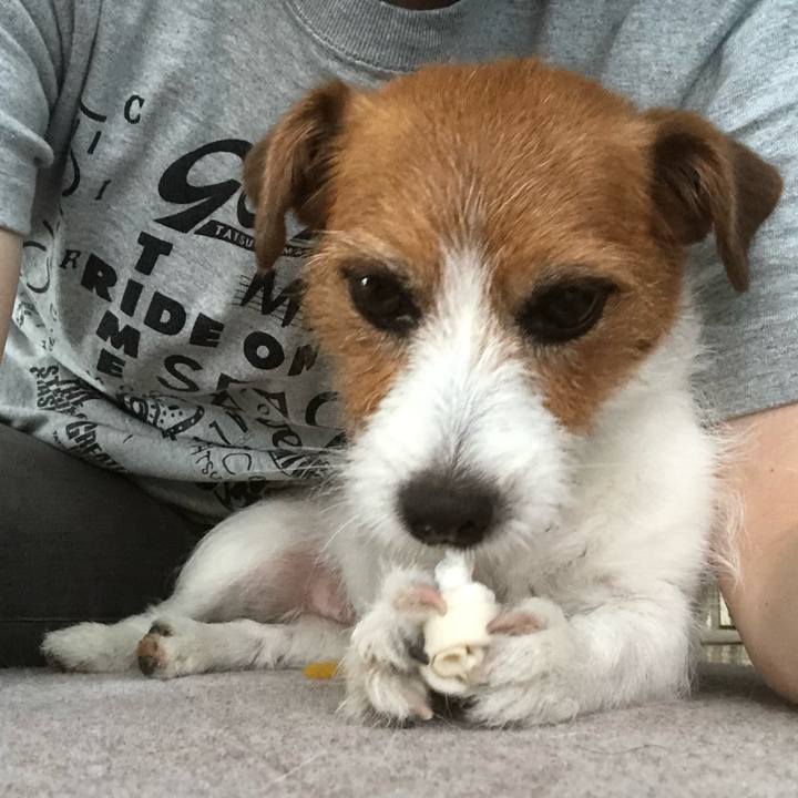 8110a447 ebbb 435d 89d5 9c907e6b00e7 1560059916094