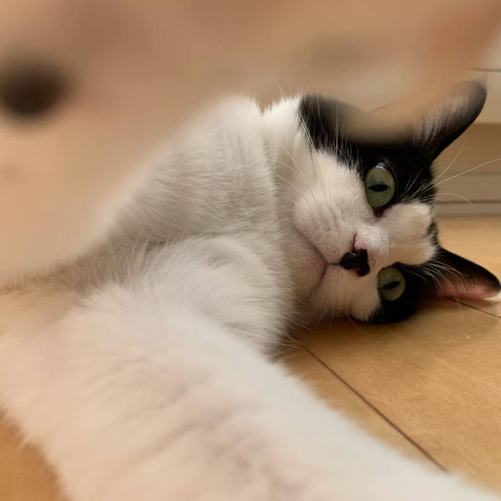 8110c136 62fd 42b2 a7d1 69f70a5b801d 1739581247755