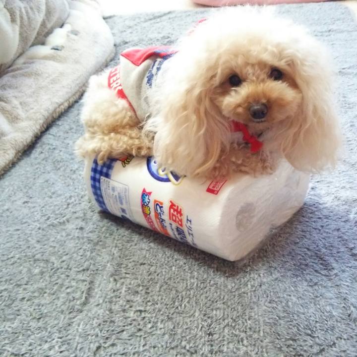 8110c99f 6a04 447f 9932 0961bdbb207d 1516839497717