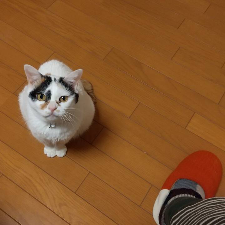 8110de07 d4f9 4f3b 97f3 5569c4f1f31b 1579616365625