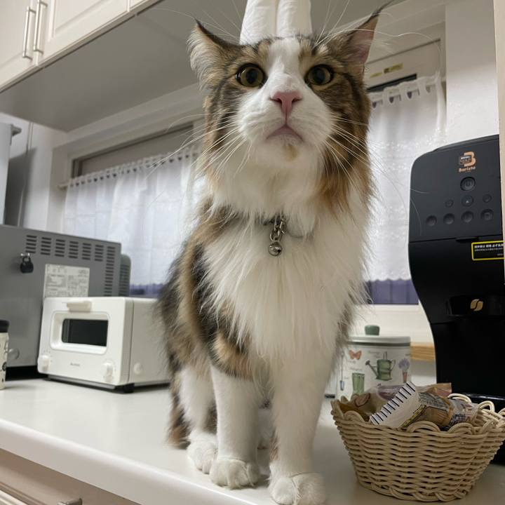 8110e007 b7a6 4f1e 844d f54bb8096cda 1651003482945