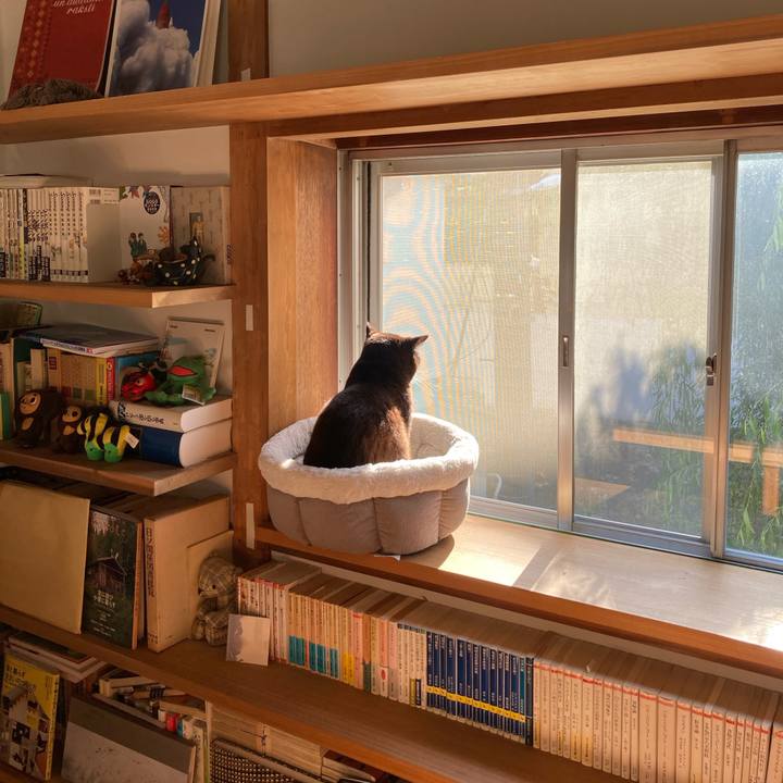 8110f23a 054a 43a9 a3f3 550dc2ac939a 1589461199599