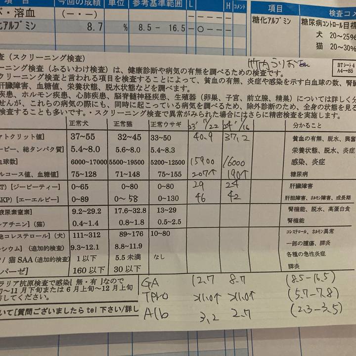 8111207c f44c 434c b5c2 648d167609ba 1709037567021