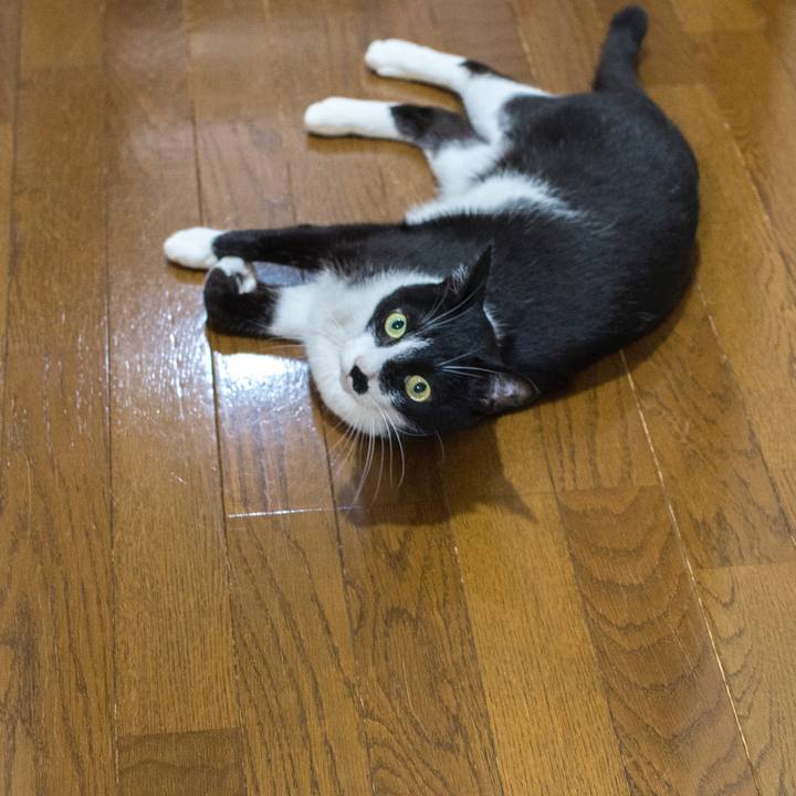 81113795 c40b 43c9 a5dc 235df264a1ea 1528596018299