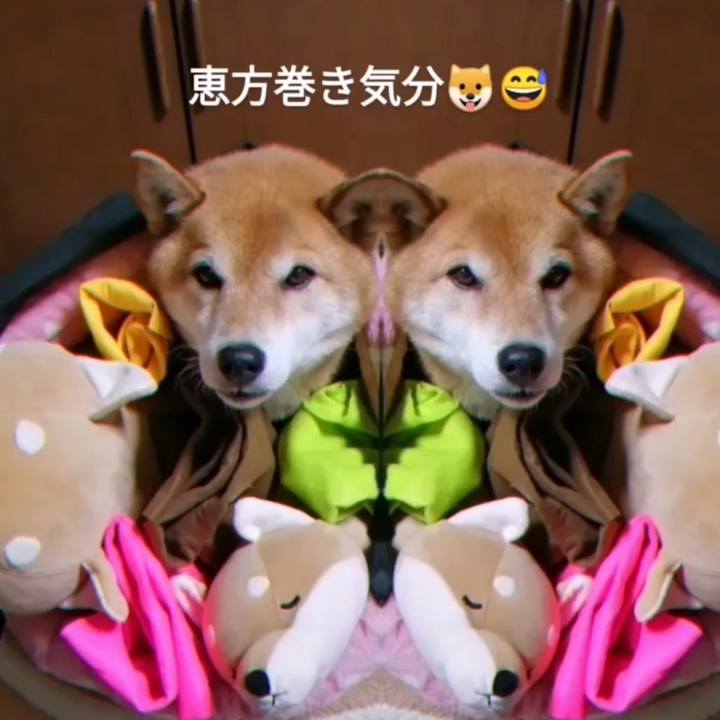 81113b8e bc99 4172 afac 3364995e9903 1675411385669