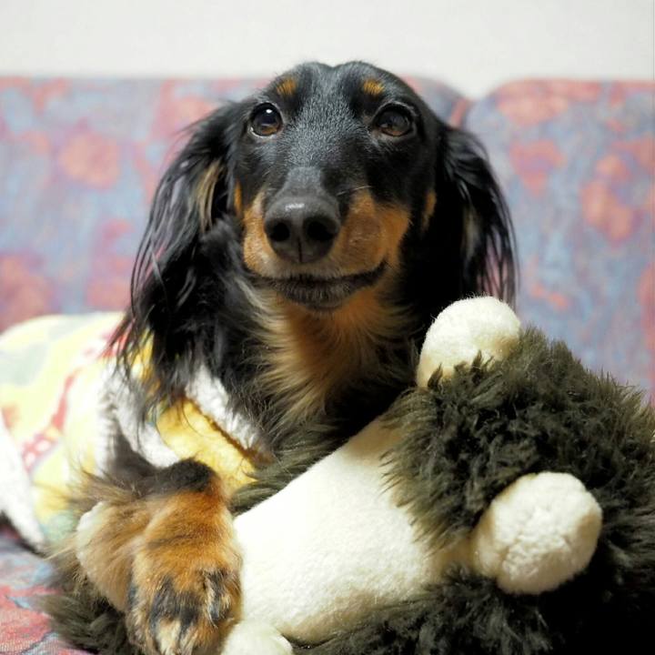 81116ae8 8b36 4007 8c89 b78f74f6aa92 1519870910886