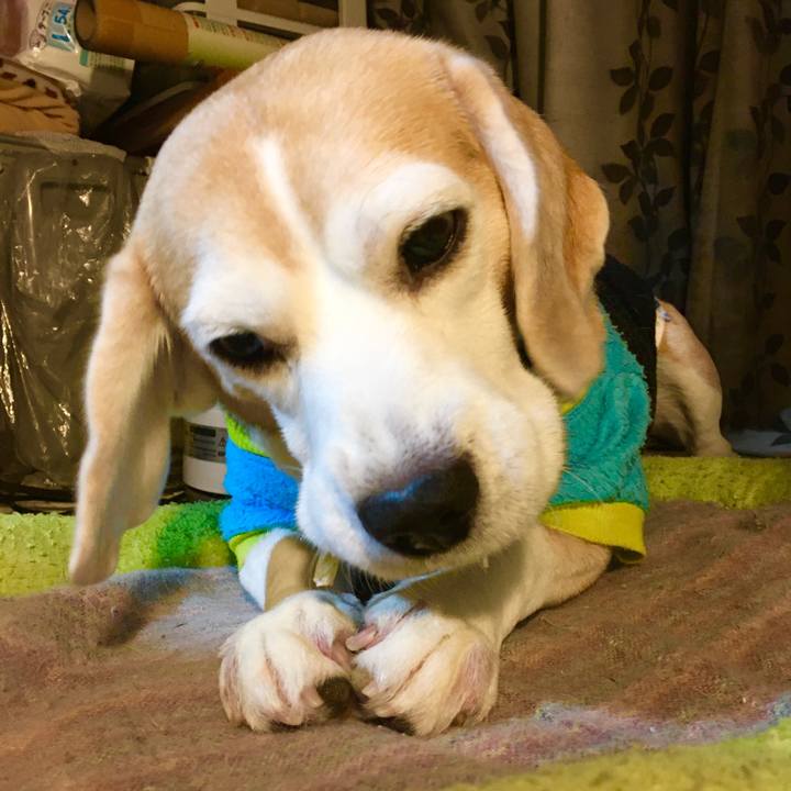 81117567 7a2a 48b4 a848 71e00fbf9b46 1577541156080