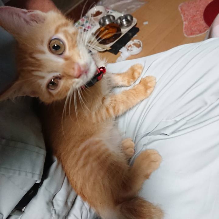 81117826 e19f 4735 a79d d980a95627d5 1630095984106