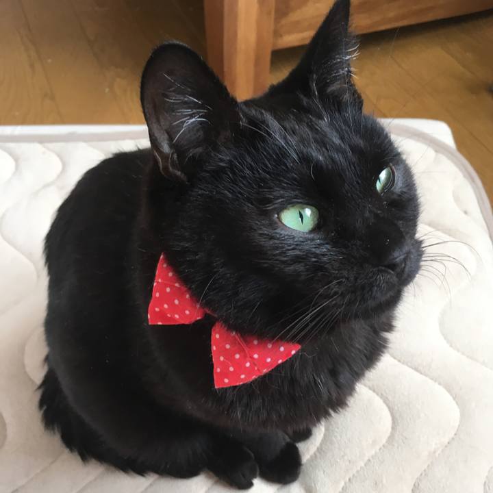 81118f4a 5eb8 4b85 b747 05d8fec184e0 1547868552830