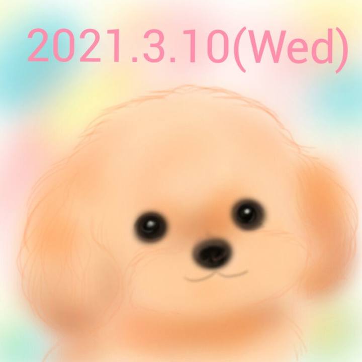 8111b81e ad0f 4bb2 8149 8f22fc344e63 1615377169986