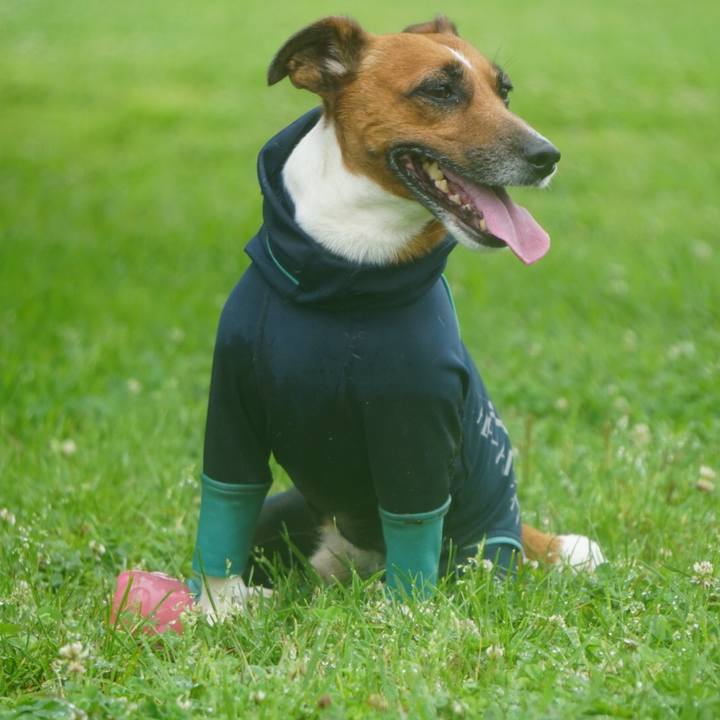 8111bce9 a4e9 49a2 8d3d 906502a5bff3 1529537308113