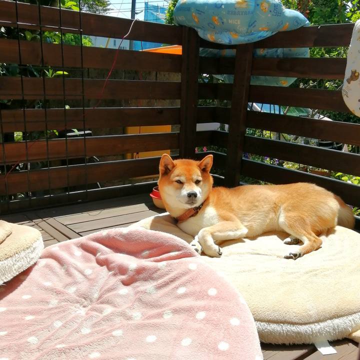 8111c758 7d90 4fe7 8593 1add04c8bf6e 1653452693965