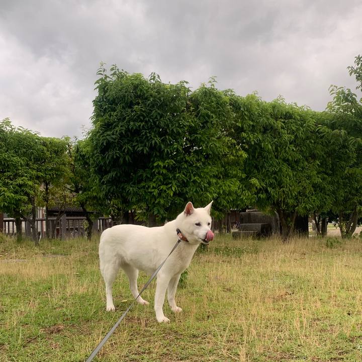 8111d43c a855 4482 8c04 50f1f4179c9e 1560643657255