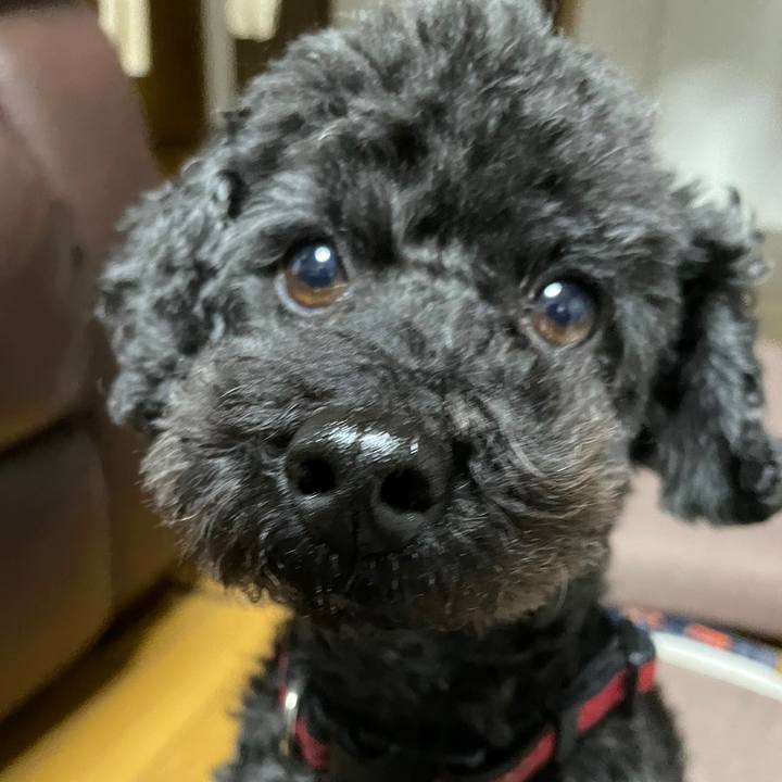 8111f956 efdf 4c58 9bd2 c03f91330b78 1677112353055