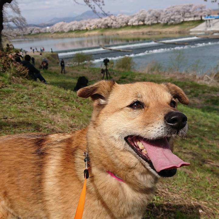 81121204 a290 4442 857a 287de963ae57 1633756054279