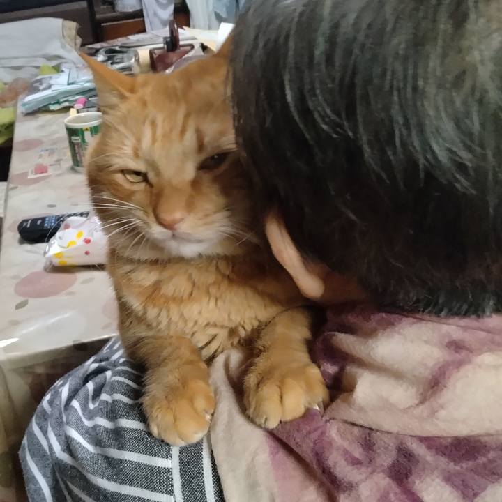 8112208b 905b 47bd 9770 cbe209b6c9f4 1763541439272