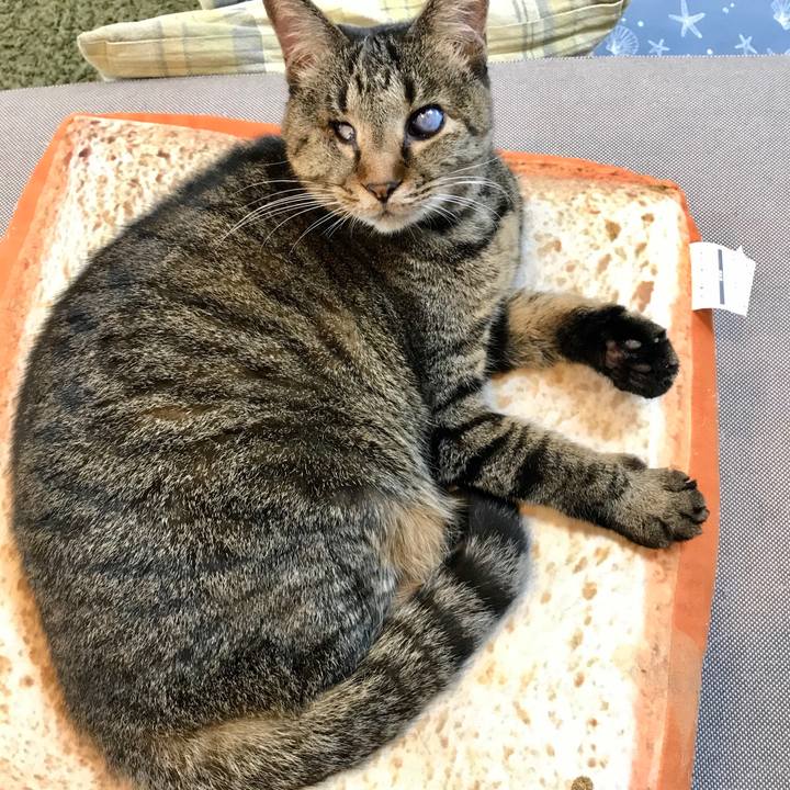 811244d1 0942 4b87 bae9 31a71b2fd1b5 1577349191918