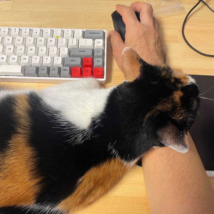 8112772b 4367 479b 861c 6b08645f89ca 1632034213121