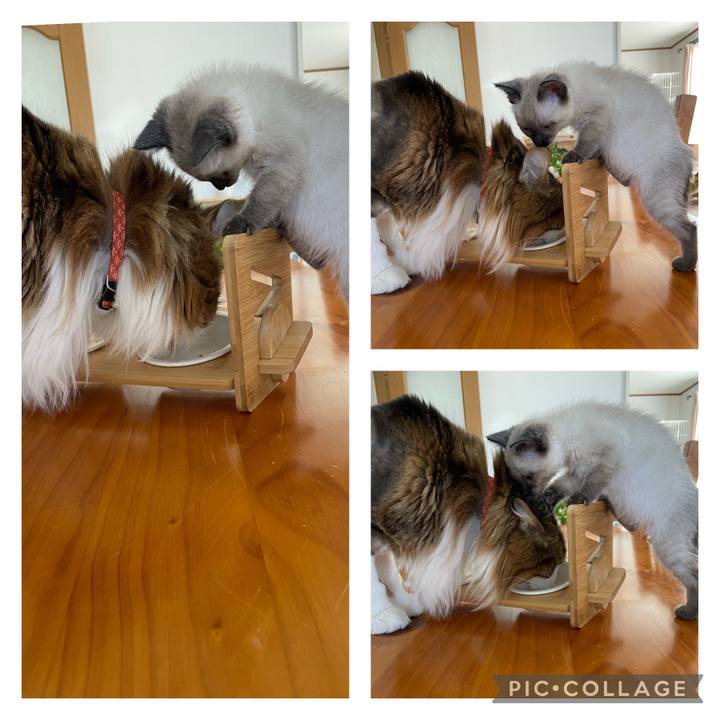 81127b8c cbe5 403c bee1 f805b0af9c47 1687246671097