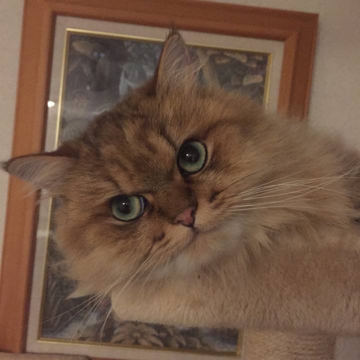 8112e1c8 ecf3 4d6a acd1 73c151c2fabf 1529756580478