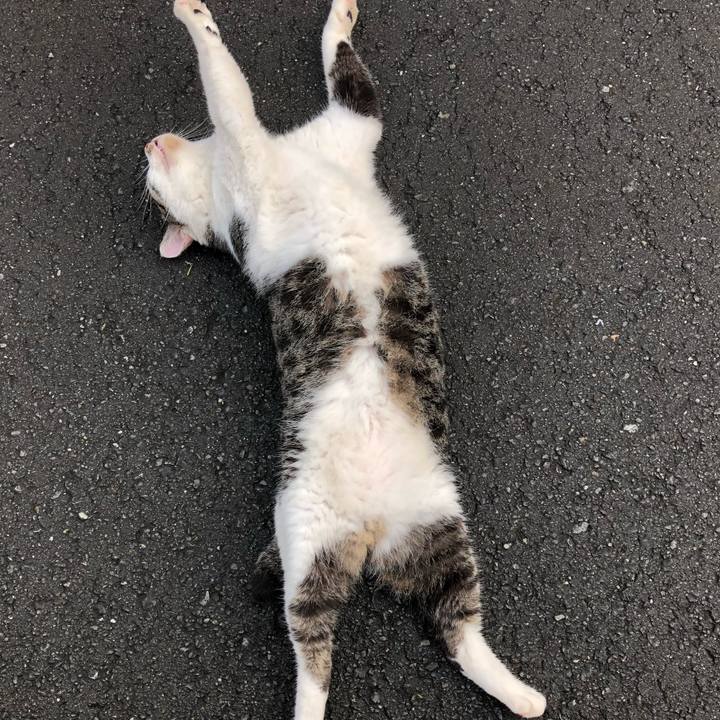 8112ef1a c859 43b5 b1c8 3a035c6a2d3e 1533901566314