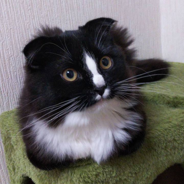 811309ac 3c68 4c4a 9465 791d7ba0c0be 1645967275251