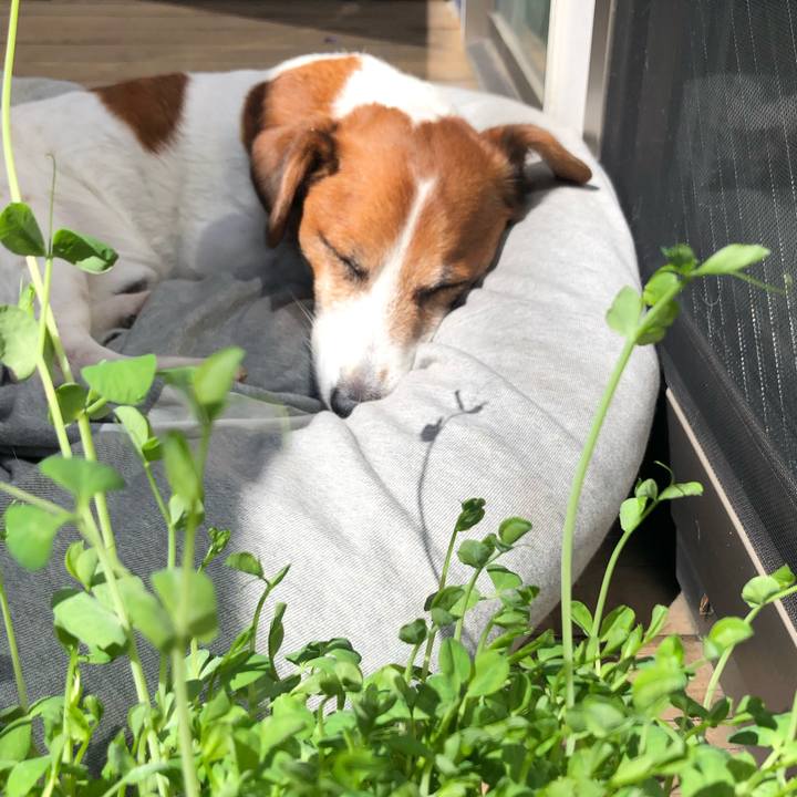 81131276 80e9 4df6 8b0b baf9aa5d4516 1587272258555