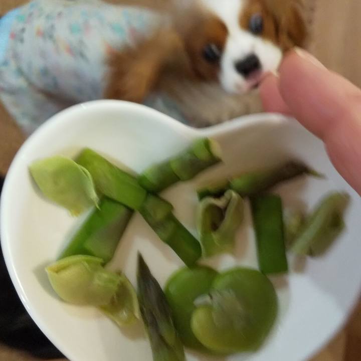 8113337f c4e2 4c1b ac14 7ee353ecf186 1588512370703