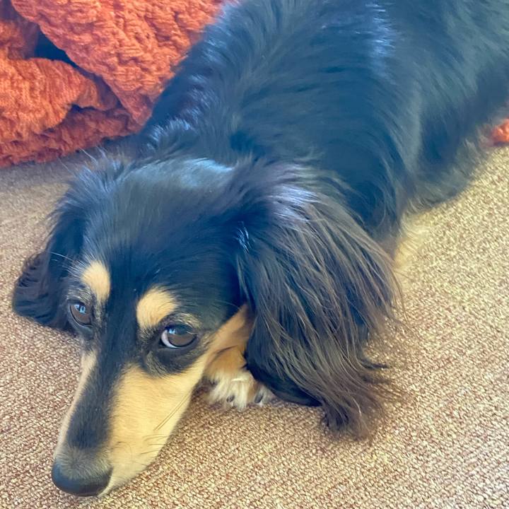 81135de4 c985 4abf be83 3d196c875598 1716873587334