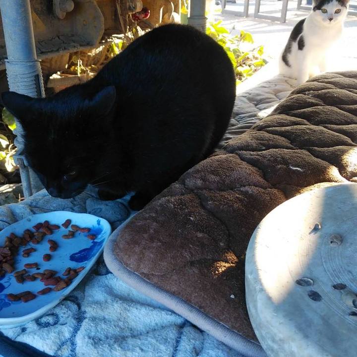 81136aa5 0ce1 4ed4 9a17 ec8f9c24137a 1580775698598